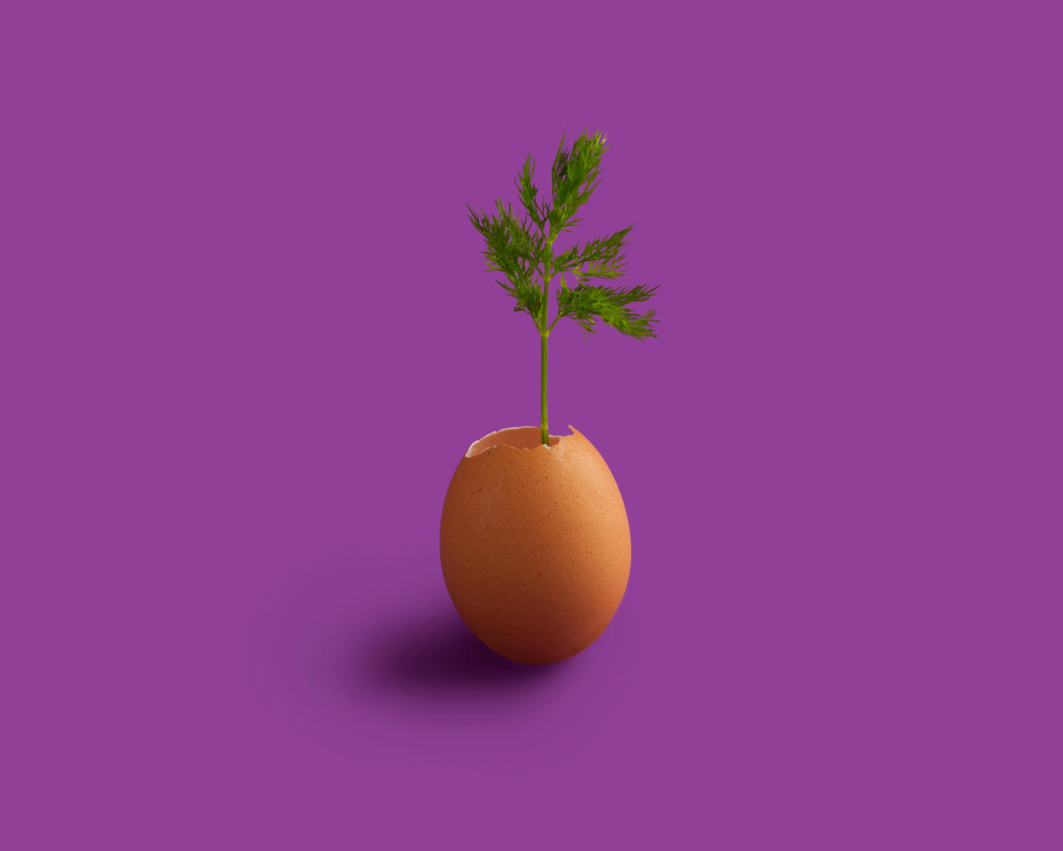 Thumbnail for How Putting People First Brings Value and Growth